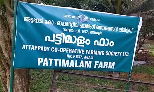 അട്ടപ്പാടി കരാർ: സൊസൈറ്റി സെക്രട്ടറിയെ വെള്ളപൂശി എസ്.ടി ഡയറക്ടർ