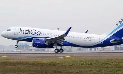 indigo