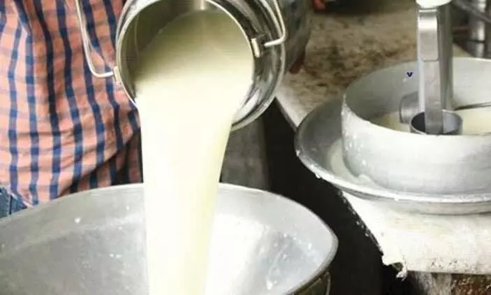 2.55 crore project to increase milk production