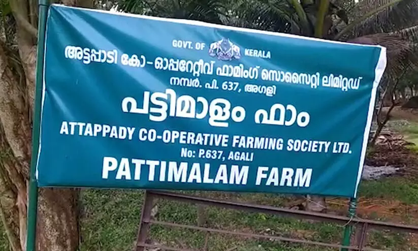 അട്ടപ്പാടി കരാർ: സൊസൈറ്റി സെക്രട്ടറിയെ വെള്ളപൂശി എസ്.ടി ഡയറക്ടർ അട്ടപ്പാടി കരാർ: സൊസൈറ്റി സെക്രട്ടറിയെ വെള്ളപൂശി എസ്.ടി ഡയറക്ടർ