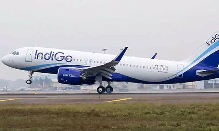 indigo