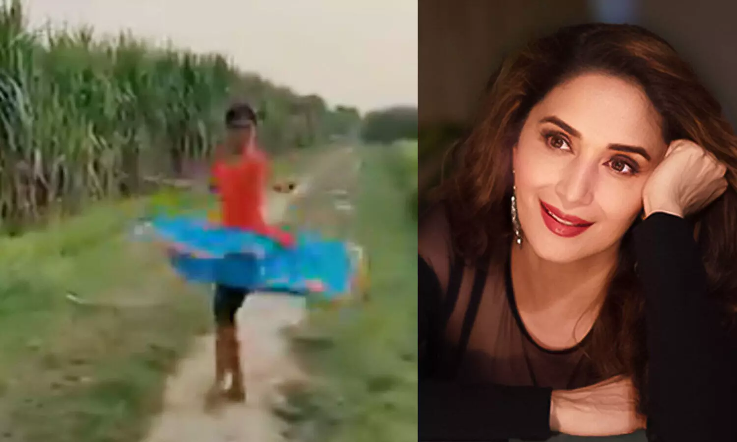 ഗംഭീരം... വയലുകൾക്ക്​ നടുവിൽ വെച്ച്​ നൃത്തം ചെയ്യുന്ന പെൺകുട്ടിയെ പുകഴ്​ത്തി മാധുരി ദീക്ഷിത്​