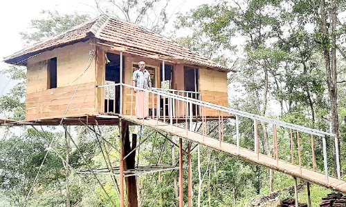 കൗതുകമായി ഒറ്റമരക്കൊമ്പിൽ തീർത്ത ഏറുമാടം