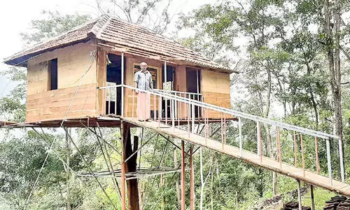 കൗതുകമായി ഒറ്റമരക്കൊമ്പിൽ തീർത്ത ഏറുമാടം