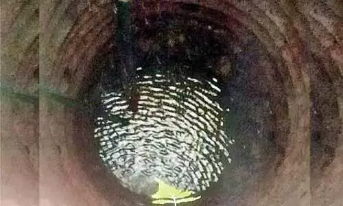 കിണറ്റിൽ തിരയിളക്കം; വീട്ടുകാർ പരിഭ്രാന്തിയിൽ