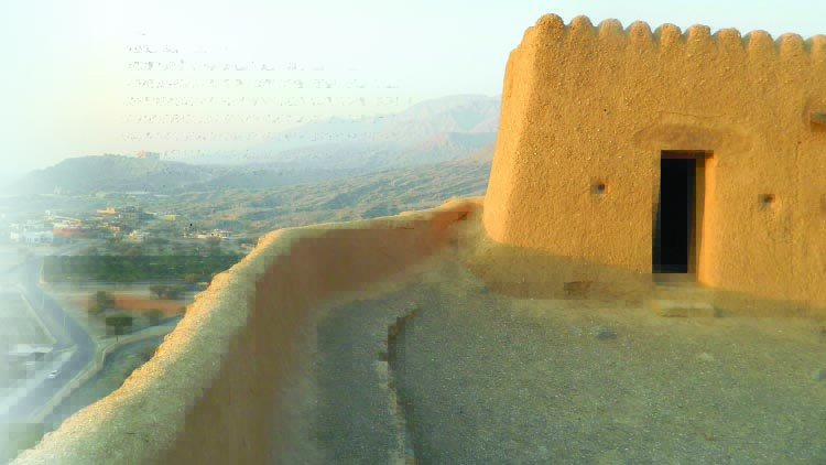 ദയാ ഫോര്‍ട്ട്: ചെറുത്തു നില്‍പ്പി​ൻെറ പ്രകാശ ഗോപുരം