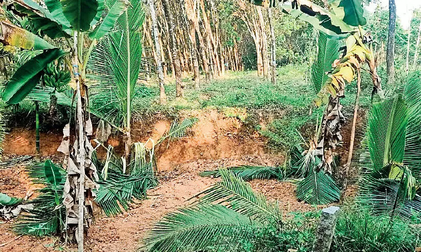 മൂ​ത്തേ​ടം ക​ല്‍ക്കു​ള​ത്ത് കാ​ട്ടാ​ന വിളയാട്ടം