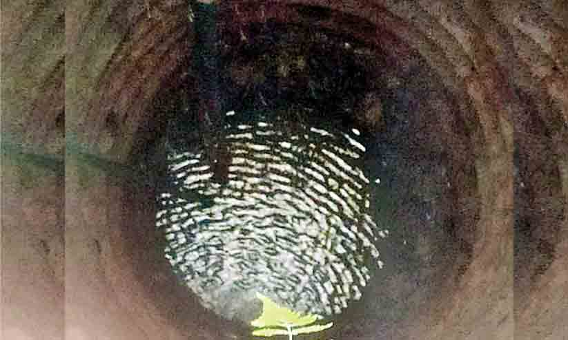 കിണറ്റിൽ തിരയിളക്കം; വീട്ടുകാർ പരിഭ്രാന്തിയിൽ കിണറ്റിൽ തിരയിളക്കം; വീട്ടുകാർ പരിഭ്രാന്തിയിൽ