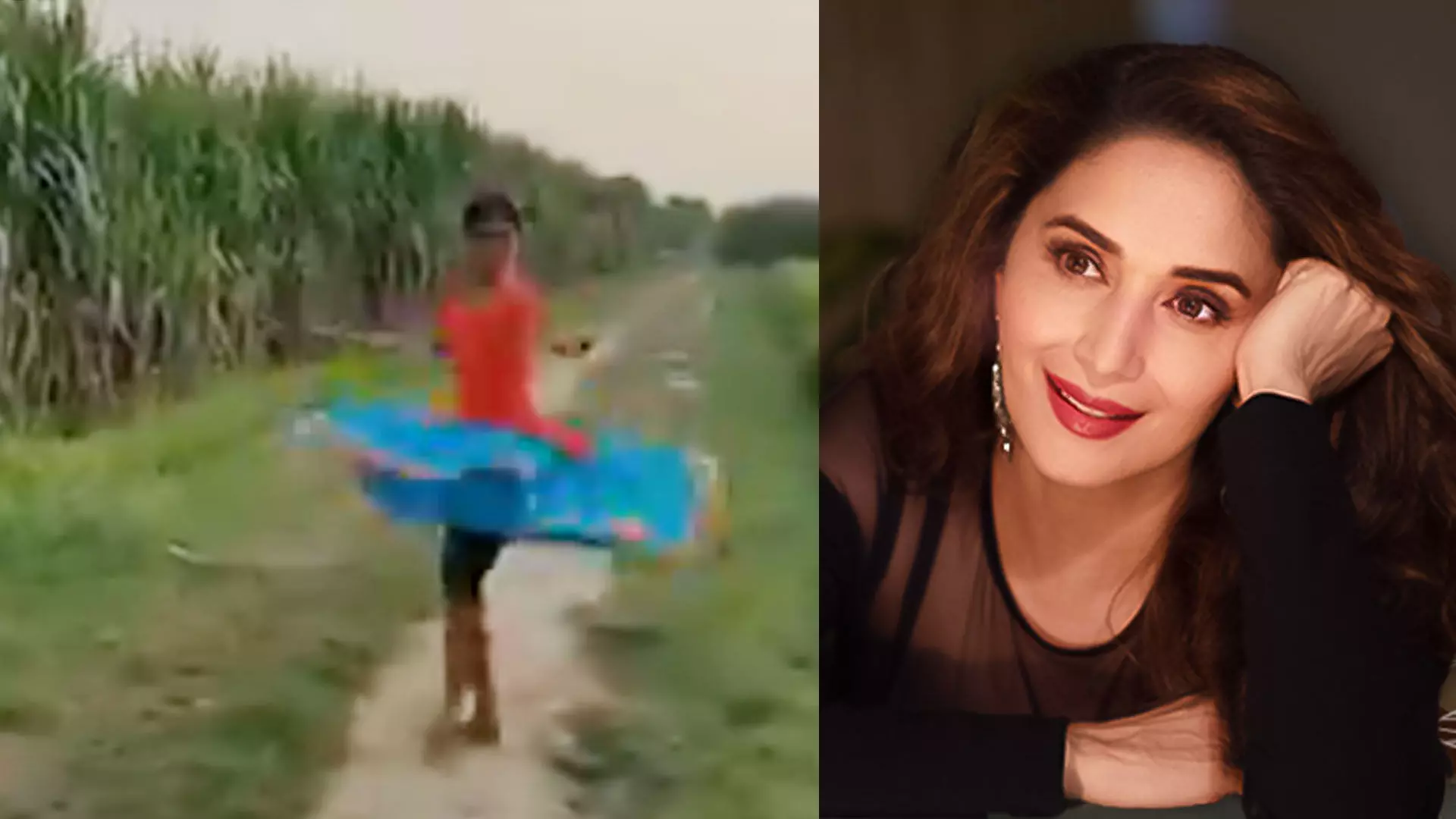 ഗംഭീരം... വയലുകൾക്ക്​ നടുവിൽ വെച്ച്​ നൃത്തം ചെയ്യുന്ന പെൺകുട്ടിയെ പുകഴ്​ത്തി മാധുരി ദീക്ഷിത്​