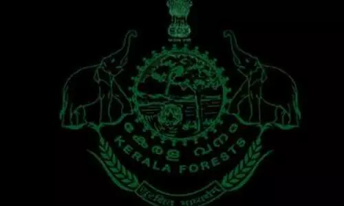 ആനുപാതിക നിയമന​ം പോലുമില്ല: വനംവകുപ്പ്​ വാച്ചർ റാങ്ക്​ലിസ്​റ്റ്​​ കാലാവധി അവസാനിച്ചു