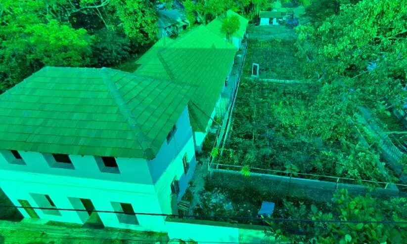 പോർട്ട് മ്യൂസിയവും മിയാവാക്കി വനവും