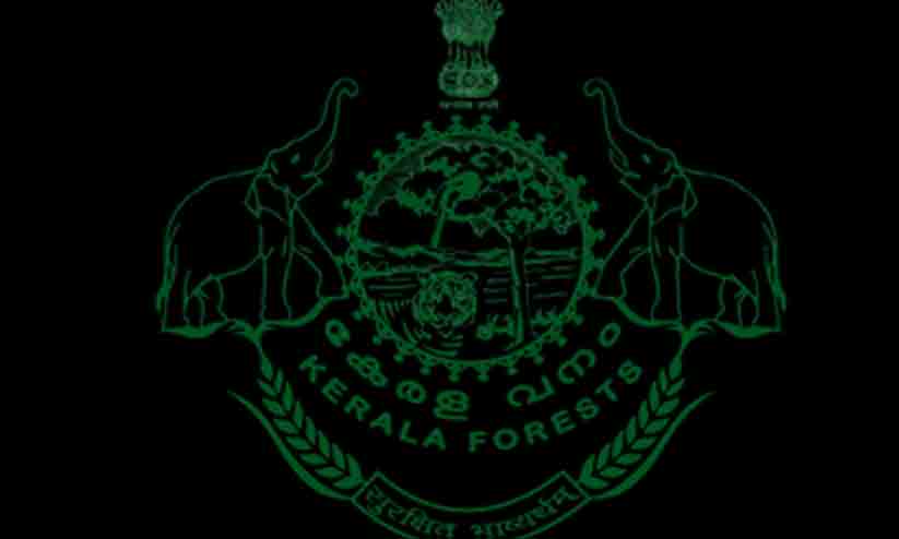 ആനുപാതിക നിയമനം പോലുമില്ല: വനംവകുപ്പ് വാച്ചർ റാങ്ക്ലിസ്റ്റ് കാലാവധി അവസാനിച്ചു ആനുപാതിക നിയമനം പോലുമില്ല: വനംവകുപ്പ് വാച്ചർ റാങ്ക്ലിസ്റ്റ് കാലാവധി അവസാനിച്ചു