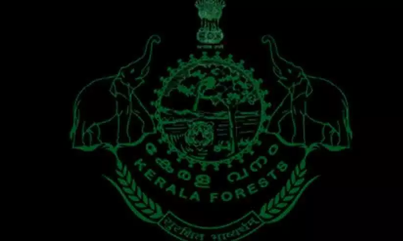 ആനുപാതിക നിയമനം പോലുമില്ല: വനംവകുപ്പ് വാച്ചർ റാങ്ക്ലിസ്റ്റ് കാലാവധി അവസാനിച്ചു ആനുപാതിക നിയമനം പോലുമില്ല: വനംവകുപ്പ് വാച്ചർ റാങ്ക്ലിസ്റ്റ് കാലാവധി അവസാനിച്ചു