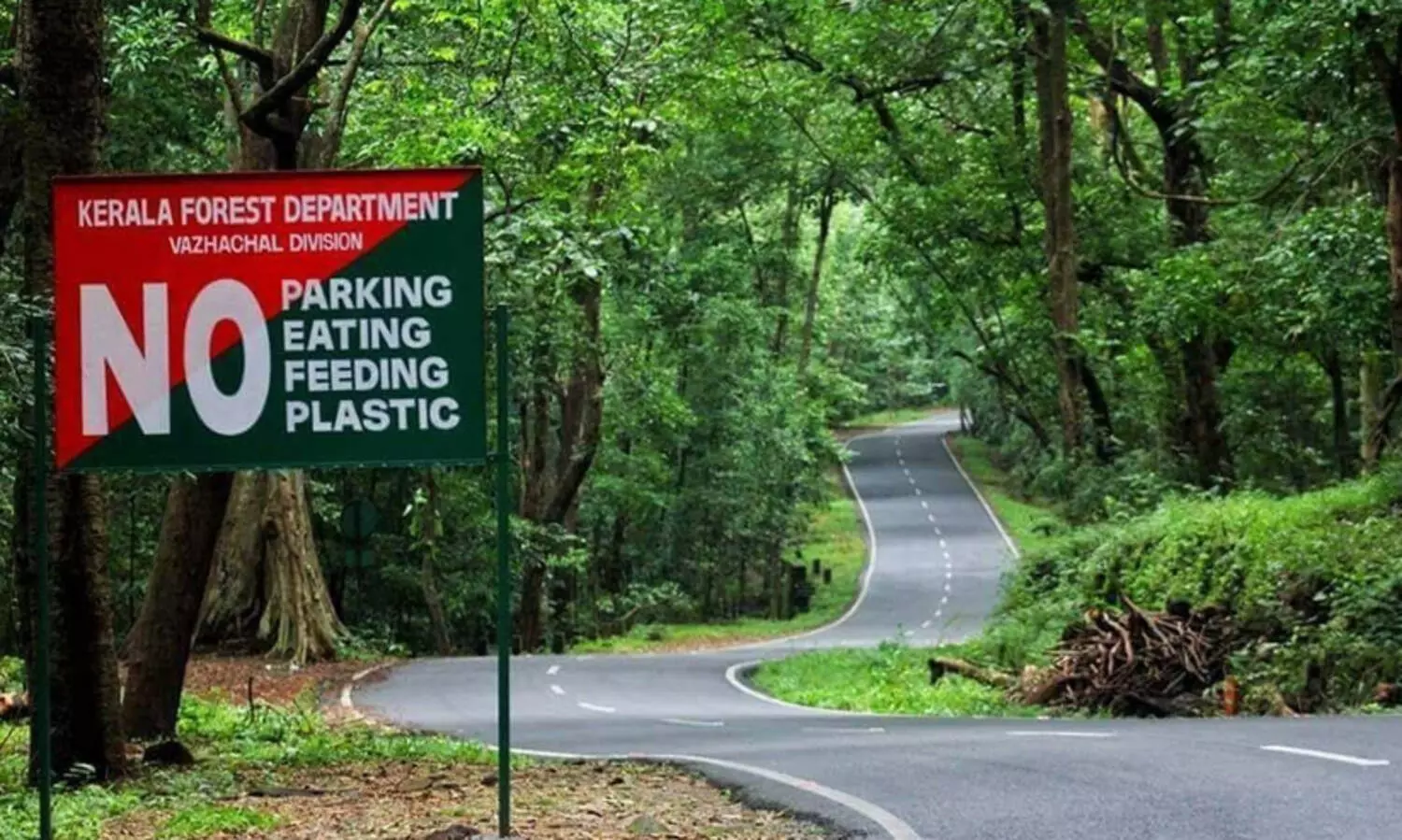 വ​നം വാ​ച്ച​ര്‍മാ​ര്‍ക്ക് മാ​സ​ങ്ങ​ളാ​യി വേ​ത​നം ല​ഭി​ക്കു​ന്നി​ല്ലെ​ന്ന്​