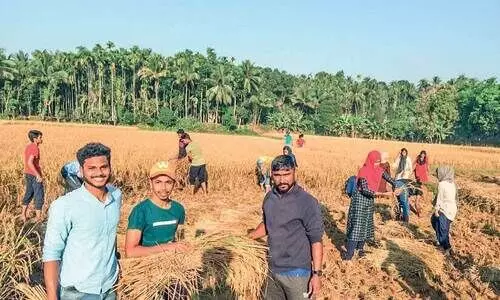 പാടം പൂത്തകാലം...