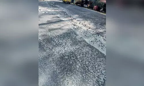 ന​ഗ​ര​ത്തി​ലെ​ത്തു​ന്ന​വ​ർ ചോ​ദി​ക്കു​ന്നു; എ​ന്ന​വ​സാ​നി​ക്കും ഈ ​ദു​രി​ത​യാ​ത്ര ?