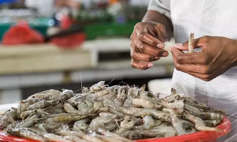 കോവിഡ്​ പ്രതിസന്ധി ഒഴിയാതെ  സമുദ്രോൽപന്ന വ്യവസായ മേഖല