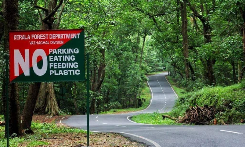 ആദിവാസി വിഭാഗത്തില്‍ നിന്നും 500 ബീറ്റ് ഫോറസ്റ്റ് ഓഫിസര്‍മാരെ നിയമിക്കും