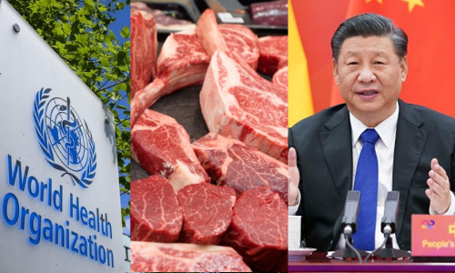 കൊറോണ വൈറസിന് കാരണം ആസ്ട്രേലിയൻ ബീഫോ? ചൈനയുടെ വാദം ശരിവെച്ച് ഡബ്ല്യു.എച്ച്.ഒ സംഘം