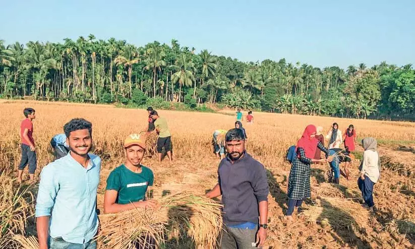 പാടം പൂത്തകാലം...