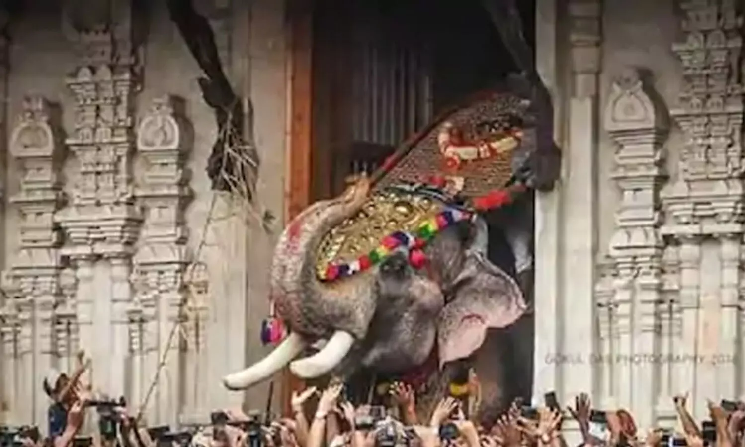 തെച്ചിക്കോട്ടുകാവ് രാമചന്ദ്രൻ വീണ്ടും കോലമേന്തി