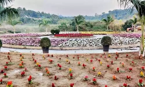 വിനോദ സഞ്ചാരികളെ വരൂ