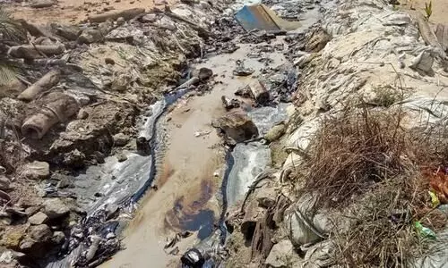 കടലിലേക്ക്​ എണ്ണ ഒഴുകിയ സംഭവം; അന്വേഷണത്തിന്​ മൂന്നംഗ സമിതി