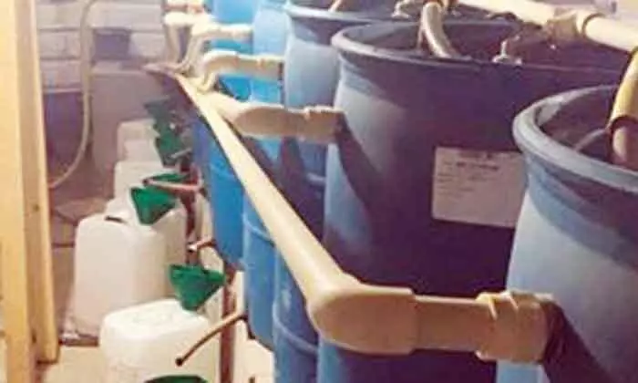 മ​ദ്യ​നി​ർ​മാ​ണ കേ​ന്ദ്ര​ത്തി​ൽ പ​രി​ശോ​ധ​ന; മൂ​ന്നു പേ​ർ പി​ടി​യി​ൽ