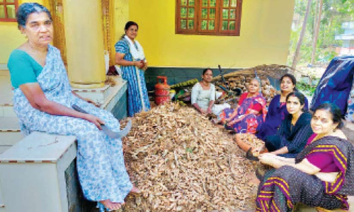 മഞ്ഞളിൽ പൊന്നുവിളയിച്ച്​ വീട്ടമ്മമാർ