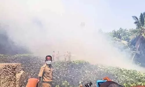 fire broke out in the backyard and killed several people