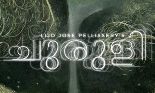 രാ​ജ്യാ​ന്ത​ര മേ​ള: മ​ല​യാ​ള​ക്കാ​ഴ്ച​ക​ള്‍ക്ക്​ പ്രി​യ​മേ​റു​ന്നു