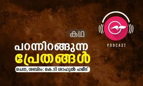 പറന്നിറങ്ങുന്ന പ്രേതങ്ങൾ -കഥ