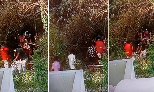 വീടിന് മുകളില്‍ അറവു മാലിന്യം തള്ളി കടന്നവർ കാമറയിൽ കുടുങ്ങി