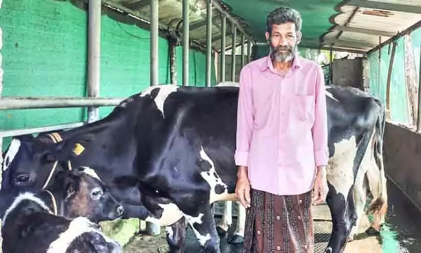 KK chandran has achieved 100 marks in cattle breeding