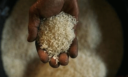 ഗോ​ഡൗ​ണി​ൽ പ​രി​ശോ​ധ​ന; റേ​ഷ​ന​രി പി​ടി​ച്ചെ​ടു​ത്തു