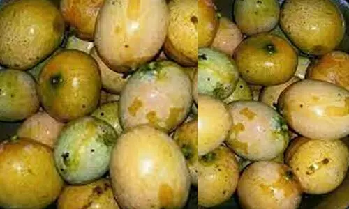 ഓൺ​ലൈ​നാ​യി ഓ​ർ​ഡ​ർ ചെ​യ്യു​ന്ന​വ​ർ​ക്ക് മാ​മ്പ​ഴം എ​ത്തി​ച്ചു​ന​ൽ​കാ​ൻ ത​പാ​ൽ വ​കു​പ്പ്