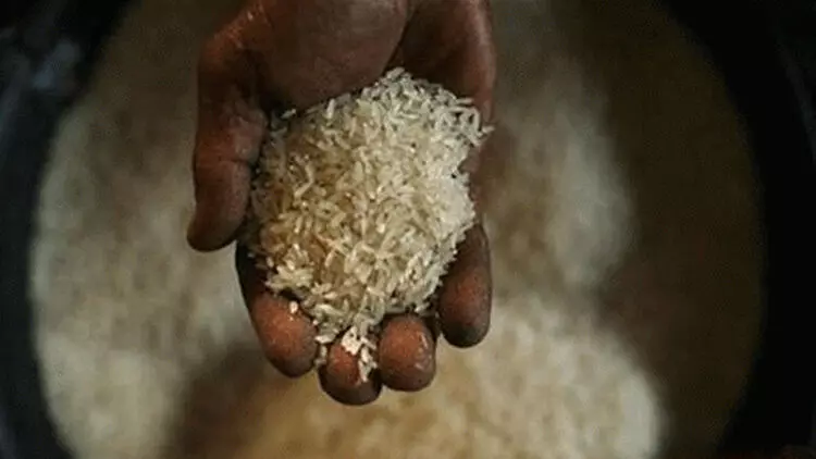 ഗോഡൗണിൽ പരിശോധന; റേഷനരി പിടിച്ചെടുത്തു ഗോഡൗണിൽ പരിശോധന; റേഷനരി പിടിച്ചെടുത്തു