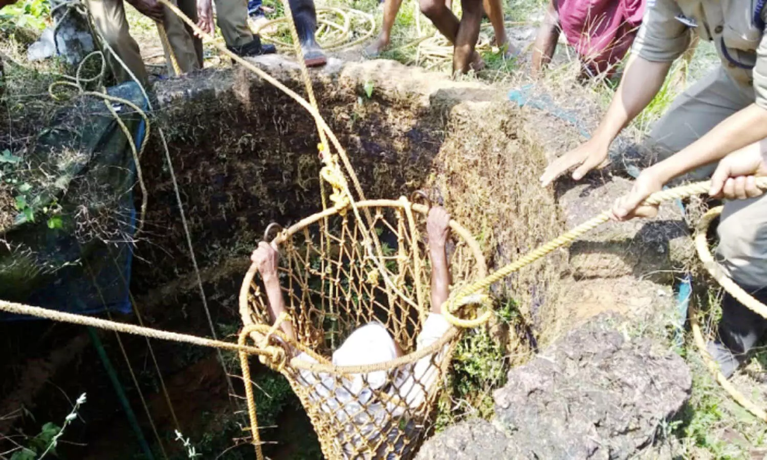 ആടിനെ രക്ഷിക്കാനിറങ്ങി കിണറ്റിൽ പെട്ടു