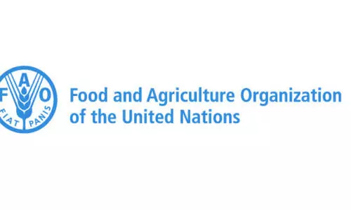 യു.​എ.​ഇ​യു​ടെ മ​രു​ഭൂ മ​ത്സ്യ​കൃ​ഷി​യെ പ്ര​കീ​ര്‍ത്തി​ച്ച് എ​ഫ്.​എ.​ഒ റി​പ്പോ​ര്‍ട്ട്