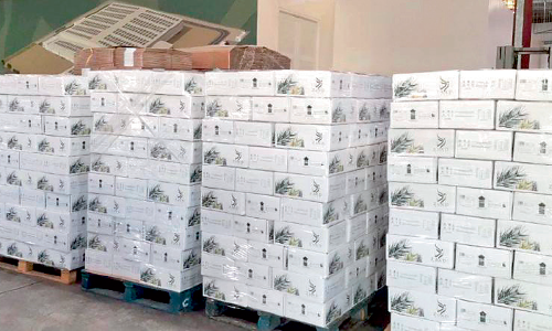 ദ​ശ​ല​ക്ഷം ഇൗ​ന്ത​പ്പ​ന​ത്തൈ പ​ദ്ധ​തി: ക​യ​റ്റു​മ​തി​ക്ക്​ ഒ​രു​ങ്ങി