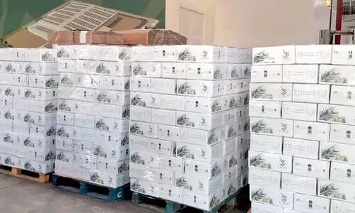 ദ​ശ​ല​ക്ഷം ഇൗ​ന്ത​പ്പ​ന​ത്തൈ പ​ദ്ധ​തി: ക​യ​റ്റു​മ​തി​ക്ക്​ ഒ​രു​ങ്ങി