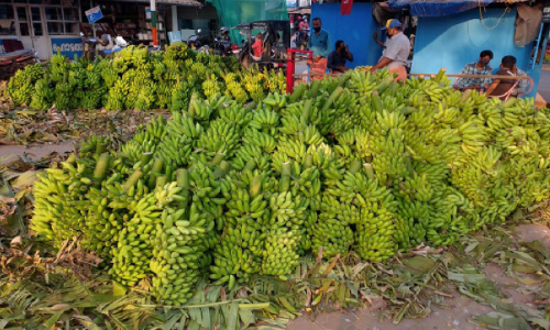 അണ്ടലൂർ തിറ: ചിട്ടകൾ തെറ്റിക്കാതെ ധർമടത്തുകാർ വ്രതം തുടങ്ങി