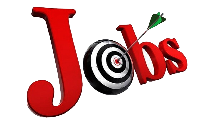 job seekers job seekers