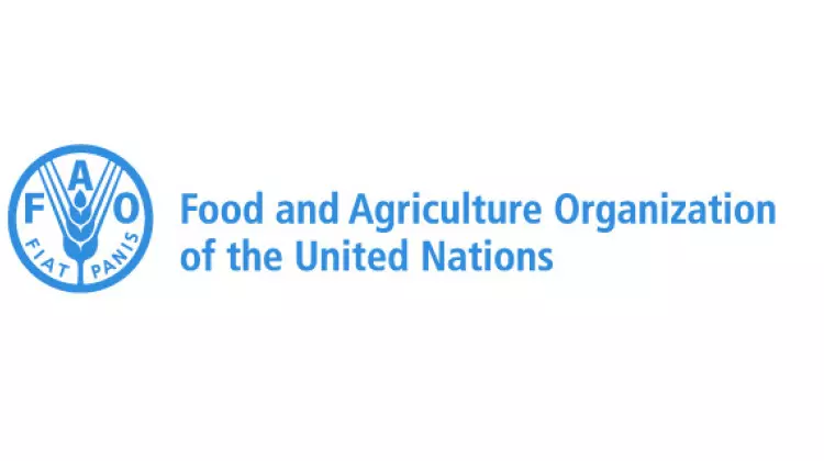 യു.​എ.​ഇ​യു​ടെ മ​രു​ഭൂ മ​ത്സ്യ​കൃ​ഷി​യെ പ്ര​കീ​ര്‍ത്തി​ച്ച് എ​ഫ്.​എ.​ഒ റി​പ്പോ​ര്‍ട്ട്