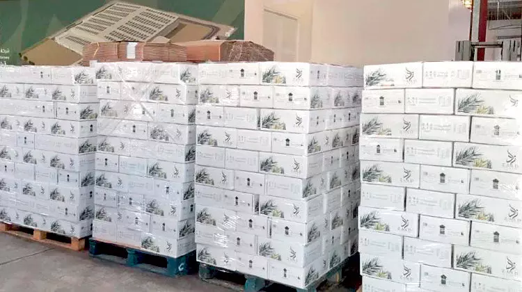 ദശലക്ഷം ഇൗന്തപ്പനത്തൈ പദ്ധതി: കയറ്റുമതിക്ക് ഒരുങ്ങി ദശലക്ഷം ഇൗന്തപ്പനത്തൈ പദ്ധതി: കയറ്റുമതിക്ക് ഒരുങ്ങി