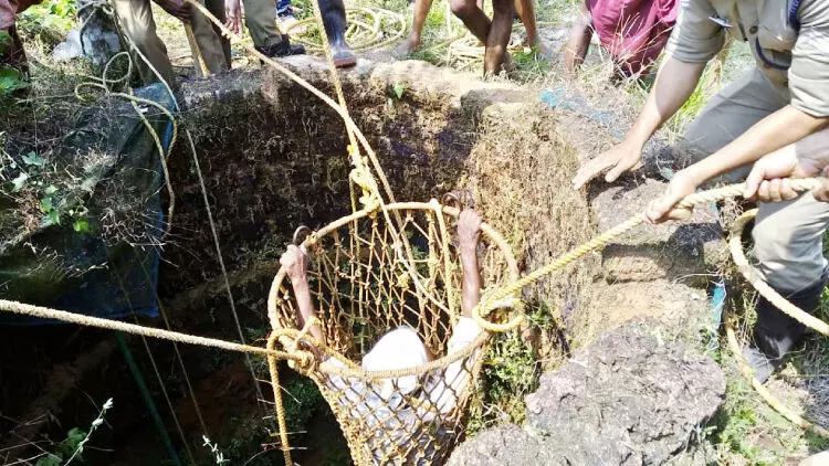 ആടിനെ രക്ഷിക്കാനിറങ്ങി കിണറ്റിൽ പെട്ടു