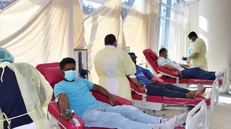 ലൈഫ് ഫിറ്റ്നസും ബി.ഡി.കെയും രക്തദാന ക്യാമ്പ് സംഘടിപ്പിച്ചു ലൈഫ് ഫിറ്റ്നസും ബി.ഡി.കെയും രക്തദാന ക്യാമ്പ് സംഘടിപ്പിച്ചു