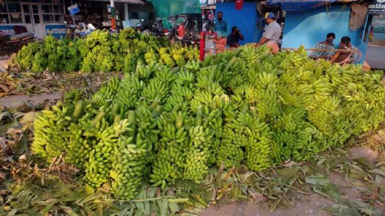 അണ്ടലൂർ തിറ: ചിട്ടകൾ തെറ്റിക്കാതെ ധർമടത്തുകാർ വ്രതം തുടങ്ങി അണ്ടലൂർ തിറ: ചിട്ടകൾ തെറ്റിക്കാതെ ധർമടത്തുകാർ വ്രതം തുടങ്ങി