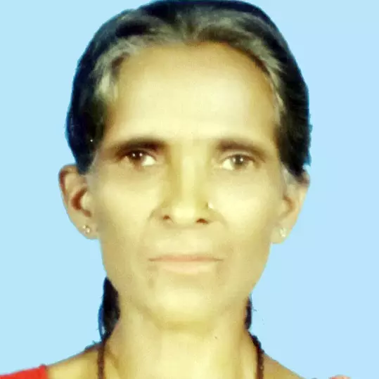 തേനീച്ചയുടെ കുത്തേറ്റ സ്ത്രീ മരിച്ചു തേനീച്ചയുടെ കുത്തേറ്റ സ്ത്രീ മരിച്ചു