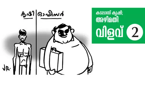 പണം വിതറി ഫാമുകൾ; വിളവ് ചോദിക്കരുത് പണം വിതറി ഫാമുകൾ; വിളവ് ചോദിക്കരുത്